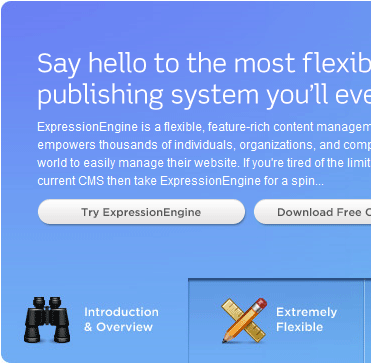 ExpressionEngine module tabs screen shot.