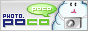 POCO��ѵ�Ӱ����