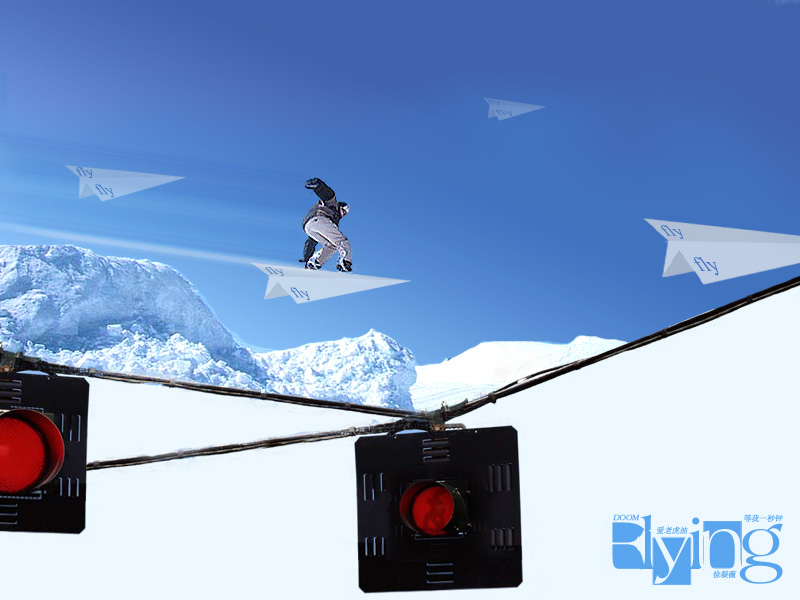 fly4.jpg